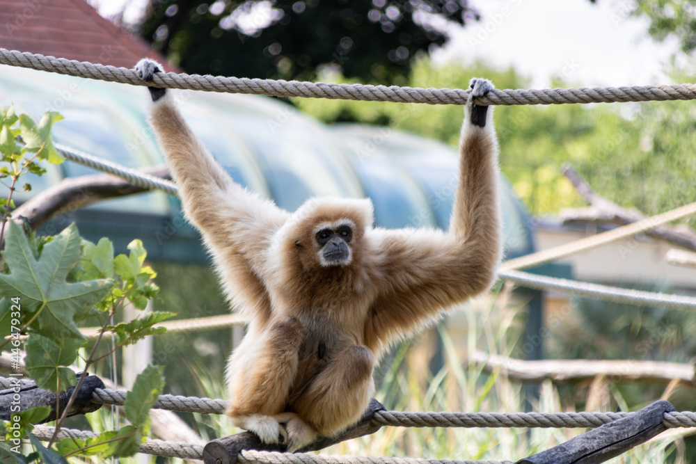 Naklejka premium Photo by: Tyminski Kamil