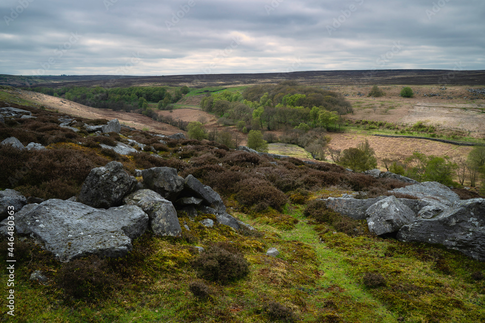 Footpath flanked by large rocks, heather, fields, and trees under overcast sky. Goathland, UK. Footpath flanked by large rocks, heather, fields, and trees under overcast sky. Goathland, UK.