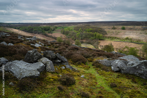 Footpath flanked by large rocks, heather, fields, and trees under overcast sky. Goathland, UK.