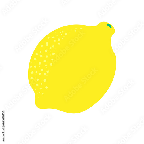 Yellow Lemon. Citrus fruit. Juicy sour fresh zest. Summer cold lemonade made from lemon. Stock vector illustration on a white background.