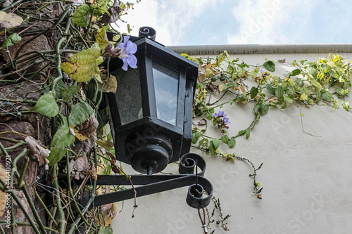 street lamp with flowers