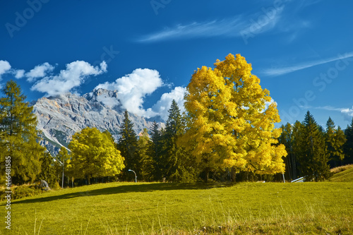 Fototapeta Naklejka Na Ścianę i Meble -  Stunning alpine Landscape at sautumn sunny day. Alpine meadow and road, mountains on background. amazing nature Landscape. Dolomites Alps. Italy.