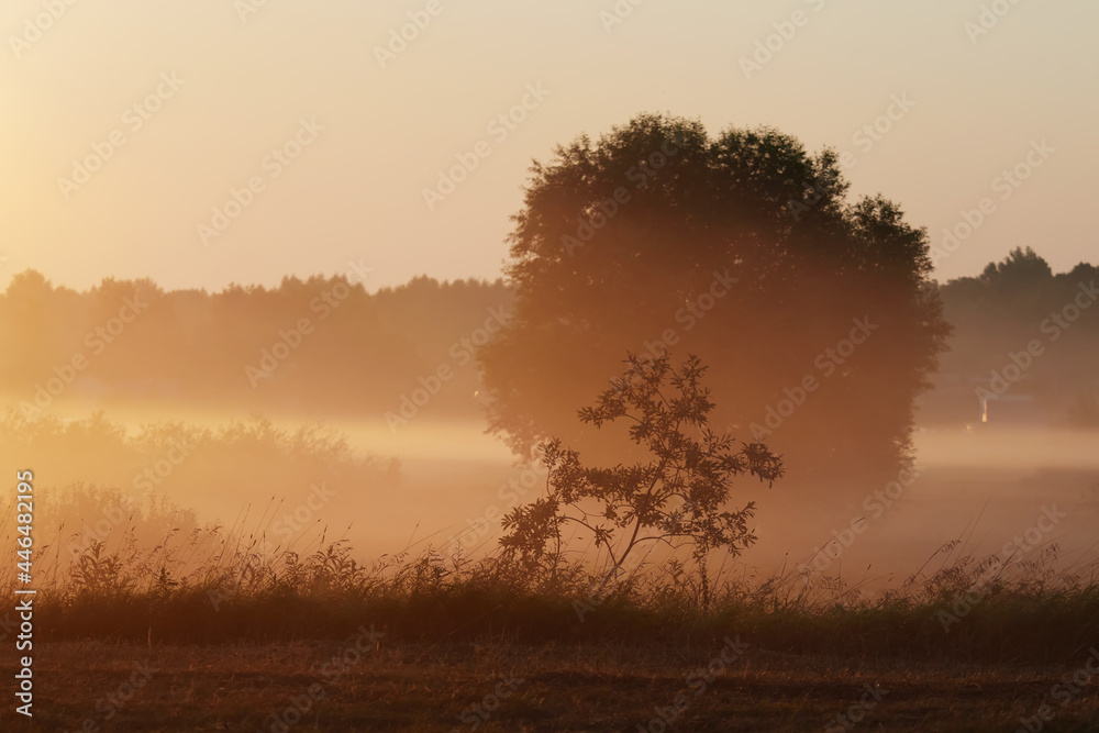 Fototapeta premium Sunrise over the cliff. morning haze at dawn on a cliff in summer. Freshness.