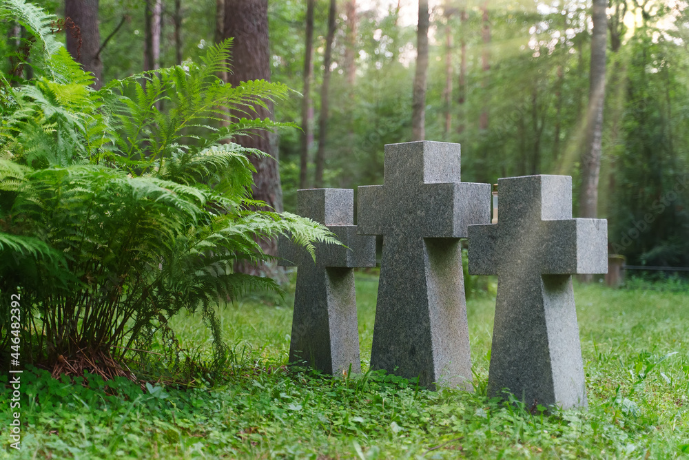 Three stone crosses in a cemetery in the forest. Three stone crosses in a cemetery in the forest.