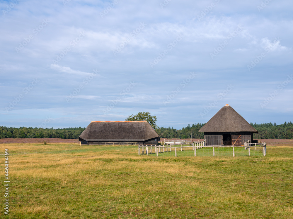 Sheepfold on the Renderklippen bij Heerde, Gelderland Province, The Netherlands Sheepfold on the Renderklippen bij Heerde, Gelderland Province, The Netherlands