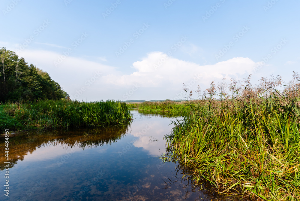 Pólko pod Supraślem - na biwak, relaks, wędkowanie, Podlasie, Polska