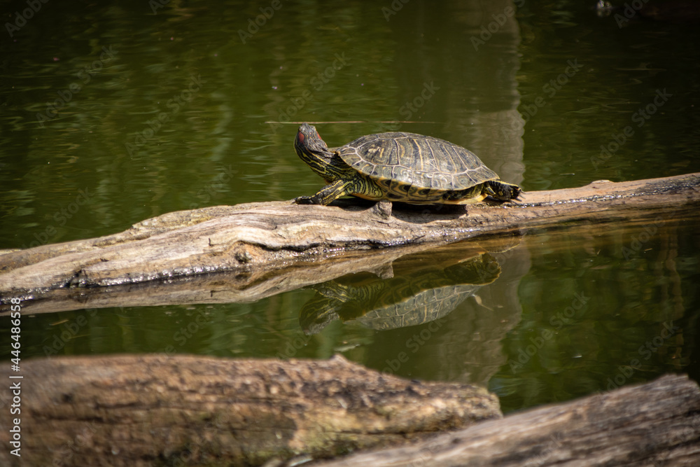 Obraz premium Photo by: Tyminski Kamil