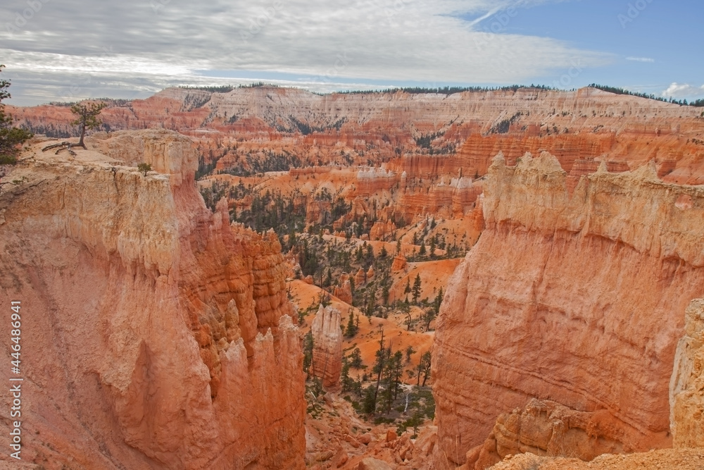View over Bryce Canyon from the Queens Garden Trail View over Bryce Canyon from the Queens Garden Trail