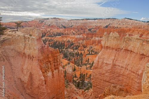 View over Bryce Canyon from the Queens Garden Trail