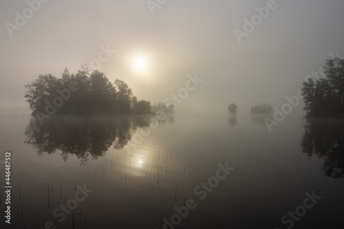 mystische Nebel Stimmung am See