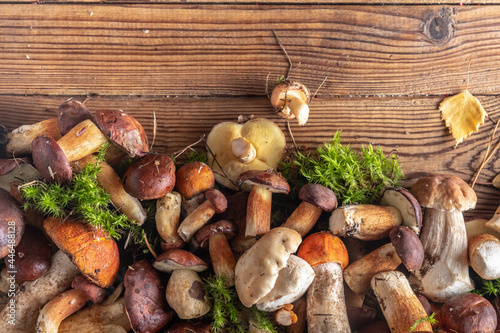 Fresh wild mushrooms different on a wooden background, top view, copy space.
