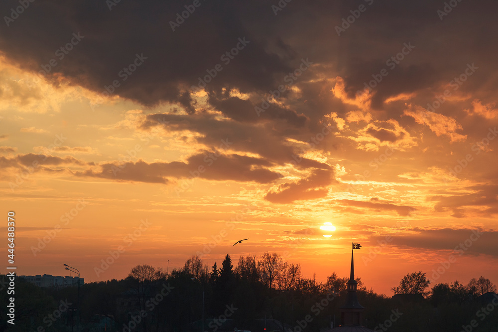 A bird and a spire silhouettes against a sky at spring sunset A bird and a spire silhouettes against a sky at spring sunset