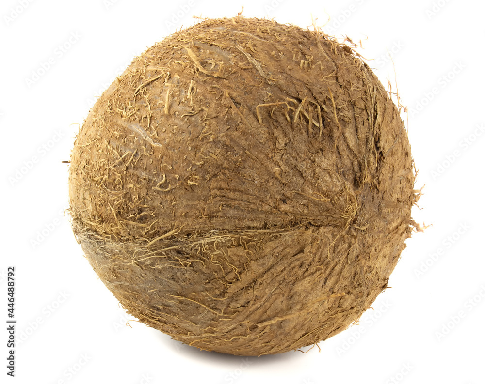 Fresh coconut isolated on white background Fresh coconut isolated on white background