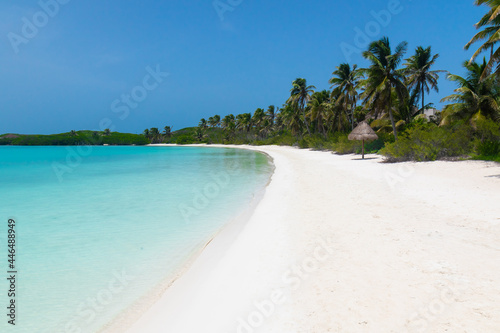 Tropical landscape. Palm trees, the Caribbean sea and white sand. Vacation in Mexico.