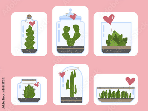 Terrarium plants set. Cactus succulent florarium in glass vase with heart card, cute terrariums with exotic plants, cactus in the bottle for present green plants