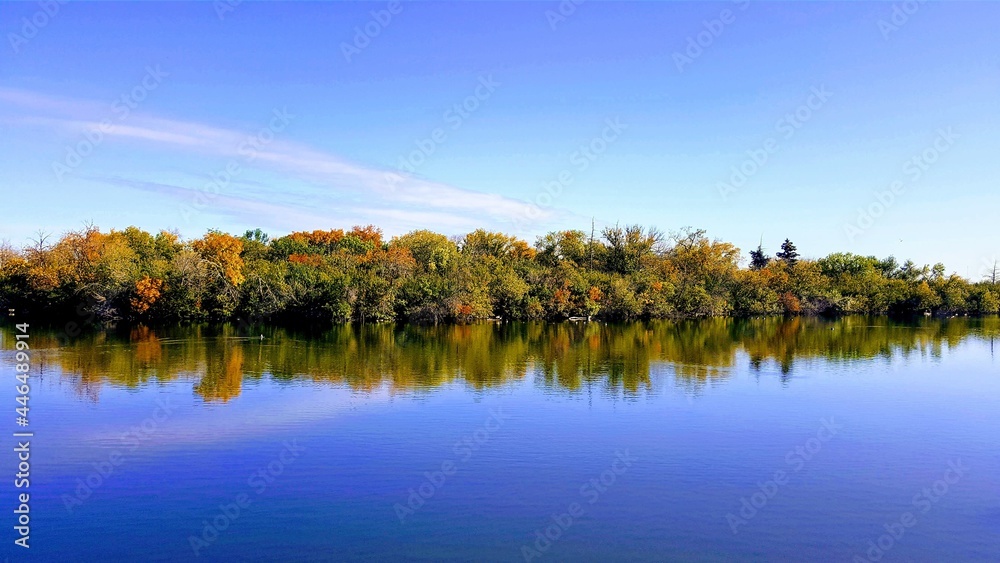 Beautiful treed landscape near the lake