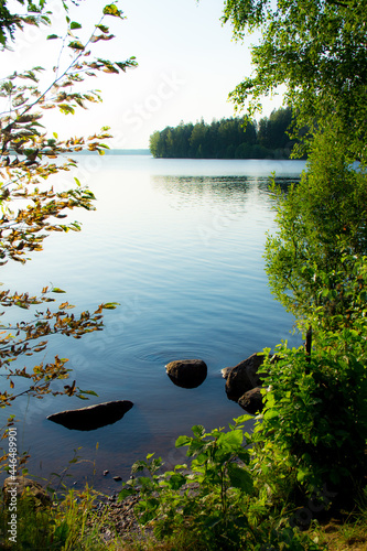 lake in the forest