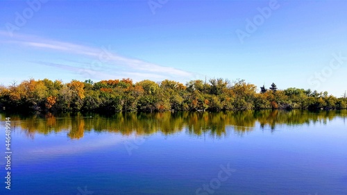 Beautiful treed landscape near the lake © Ashley