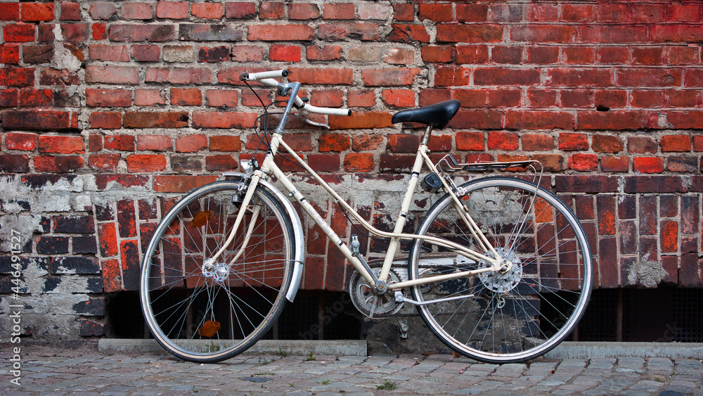 bicycle in front of a brick wall