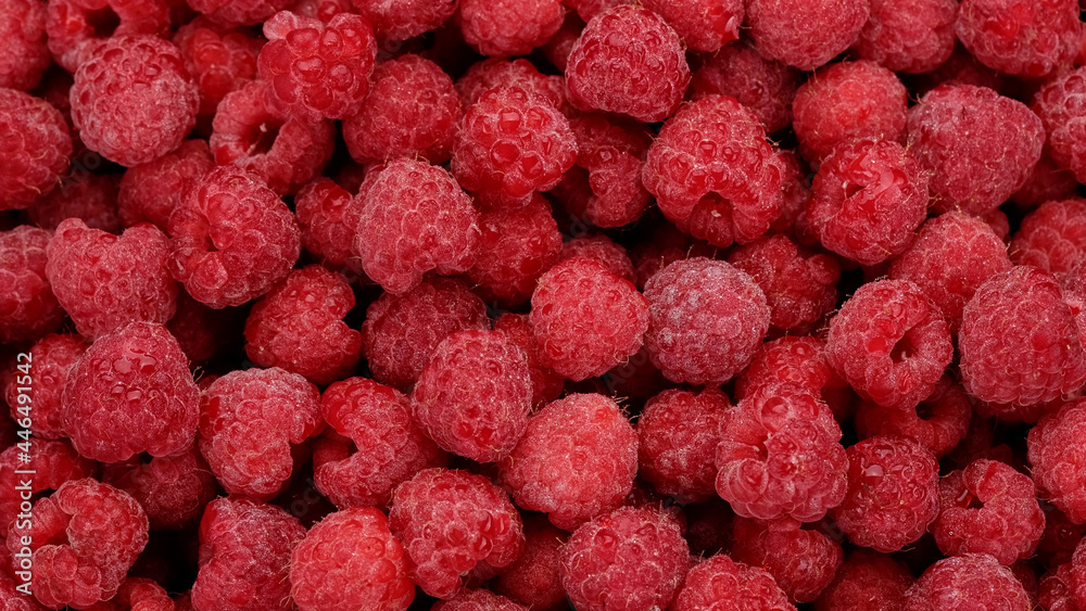 fresh red raspberries top view fresh red raspberries top view