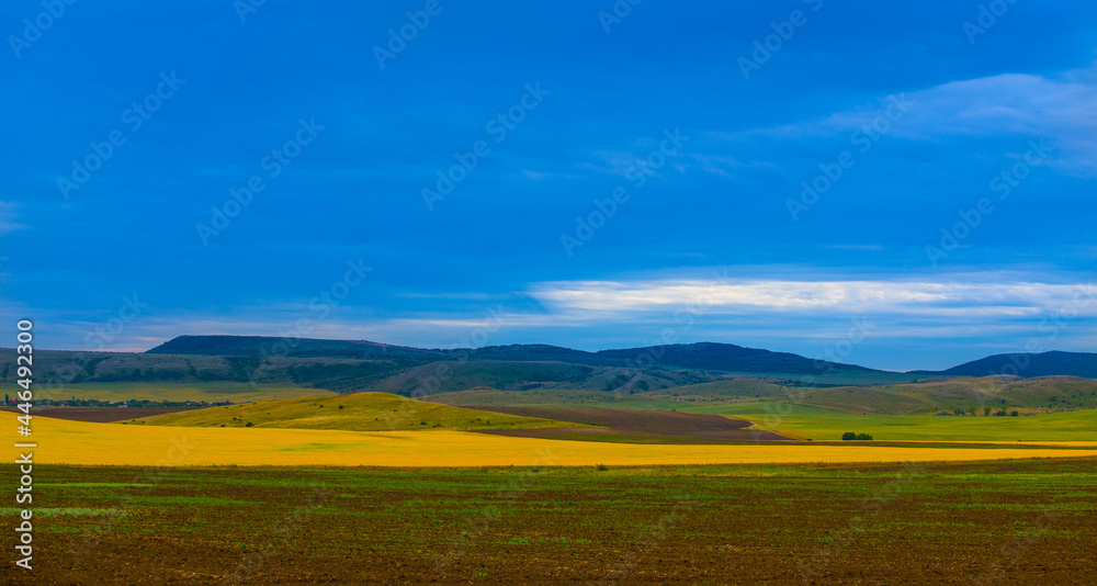 Obraz premium Beautiful landscape with a field of mountains