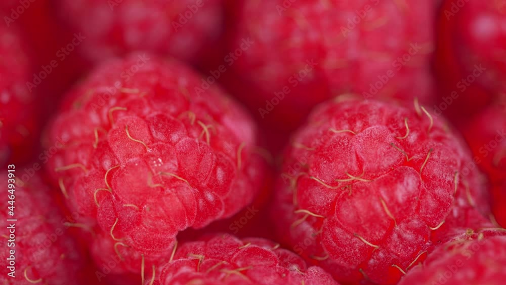 Fresh raspberry fruits as food dackground. Red raspberries, rotation. Rack focus. Fresh raspberry fruits as food dackground. Red raspberries, rotation. Rack focus.