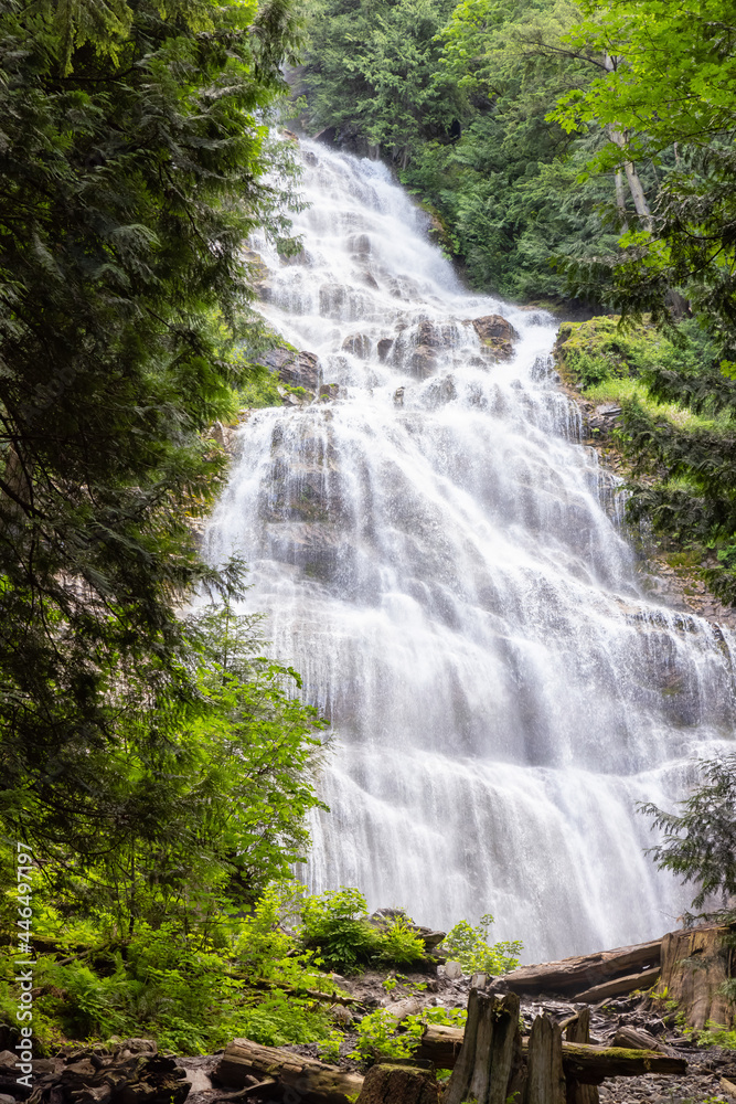 Fototapeta premium Dramatic Waterfall in the Canadian rainforest. Bridal Veil Falls Provincial Park near Chilliwack, East of Vancouver, British Columbia, Canada. Nature Background