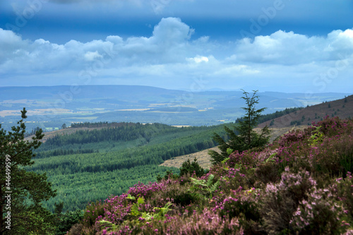 Scottish rural landscape and hiking trail in Cairngorms, Aberdeenshire, Scotland, UK