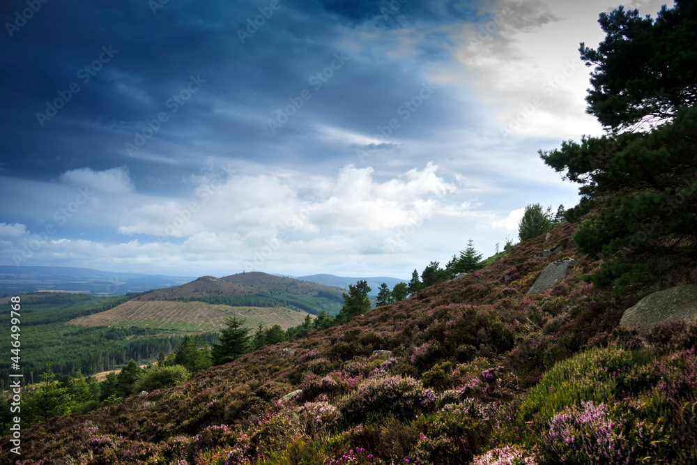 Scottish rural landscape and hiking trail in Cairngorms, Aberdeenshire, Scotland, UK Scottish rural landscape and hiking trail in Cairngorms, Aberdeenshire, Scotland, UK