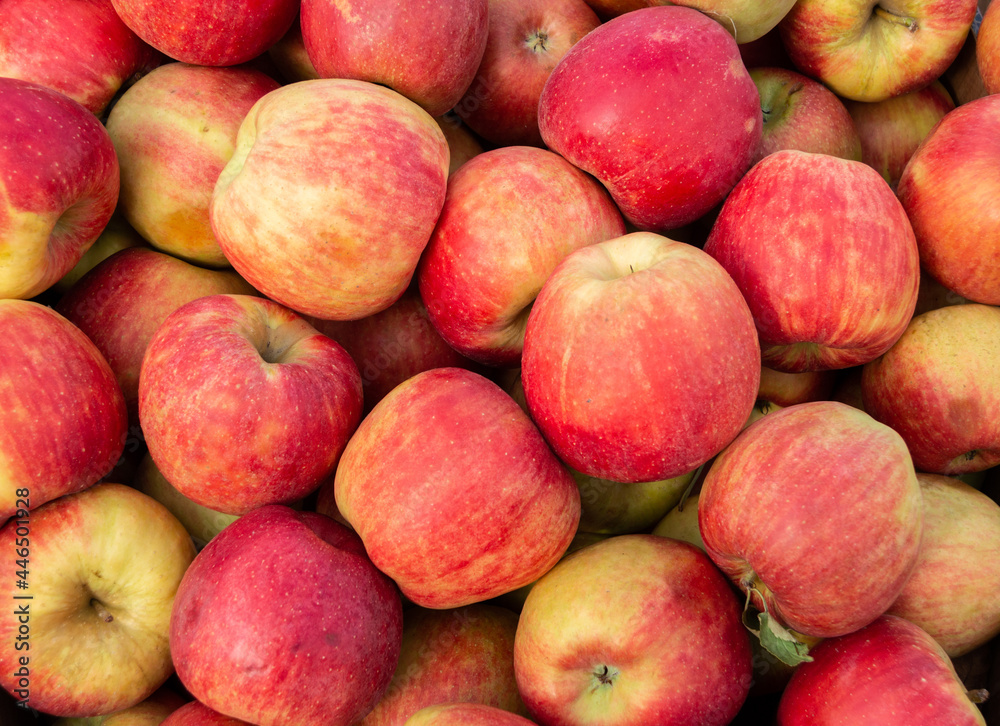 Lots of red apples. Close-up. Background or texture from apples. Red ripe apples. Collection and sale of apples Lots of red apples. Close-up. Background or texture from apples. Red ripe apples. Collection and sale of apples