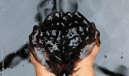 hands in crude black petroleum photo