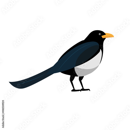 Magpie bird icon flat style. Isolated on white background. Vector illustration