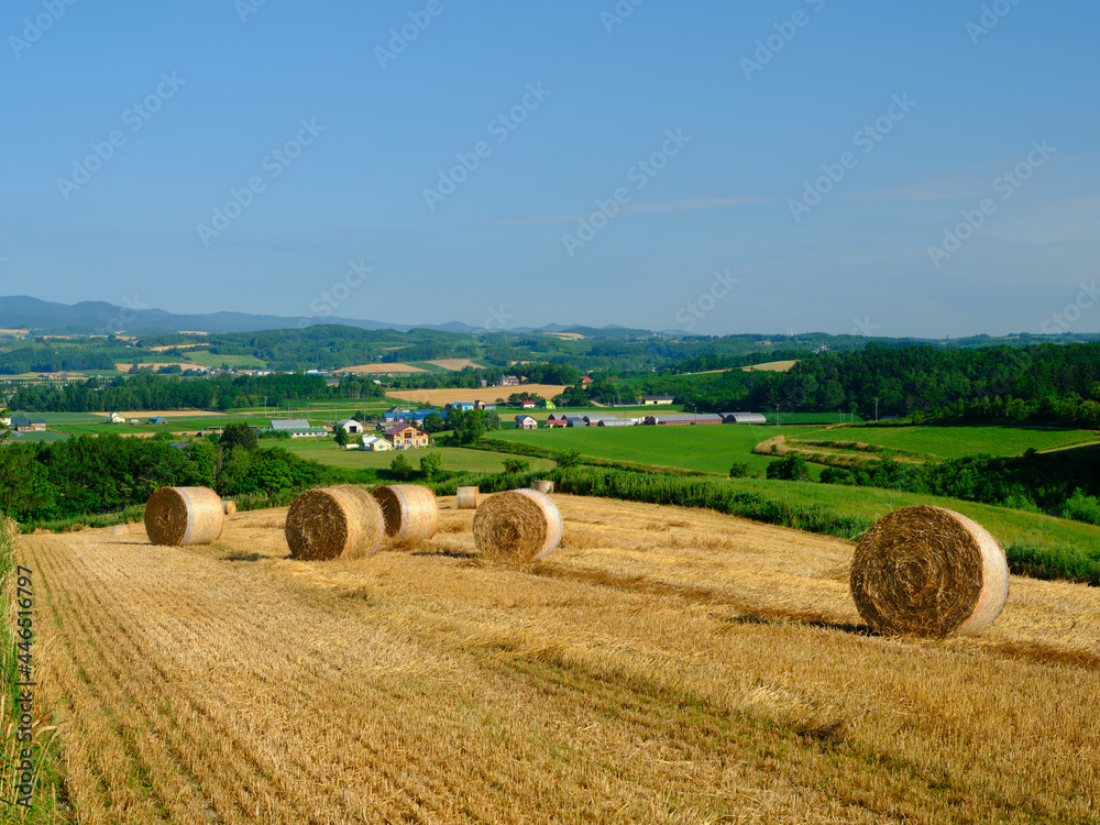 麦稈ロールのある風景