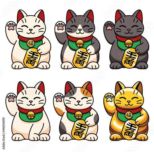 Set of different kawaii cat. Neko character Vector