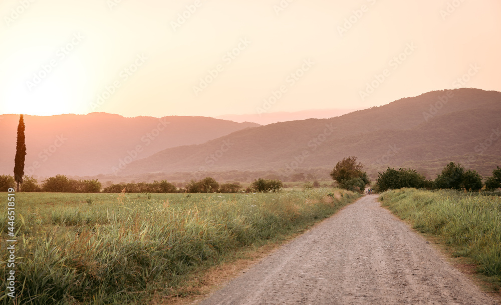 Dirt road through fields during sunset Dirt road through fields during sunset
