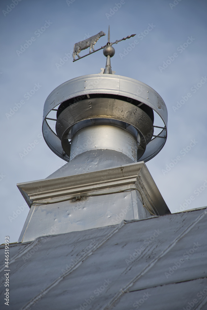 A weather vane featuring a cow is atop a roof turbine on a historic barn A weather vane featuring a cow is atop a roof turbine on a historic barn