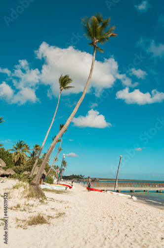 Hermosa isla tropical con palmeras y panorama de la playa