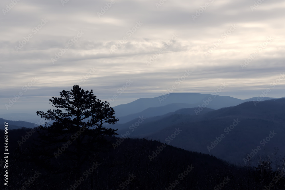 Cloudy skies are suspended over blue mountain wilderness with a tree silhouetted in the foreground Cloudy skies are suspended over blue mountain wilderness with a tree silhouetted in the foreground