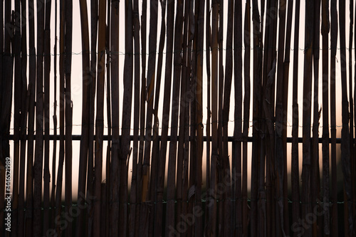 background of bamboo