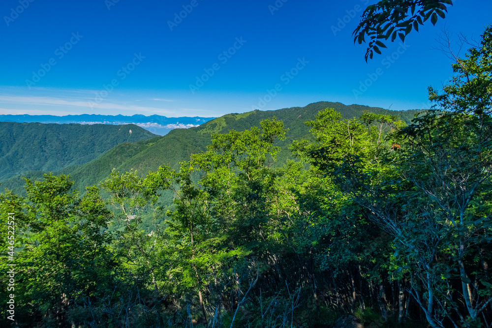 Obraz premium 初夏の山々