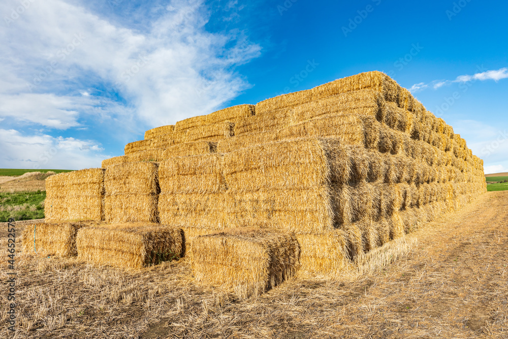 Stack of hay bales in the Palouse hills.