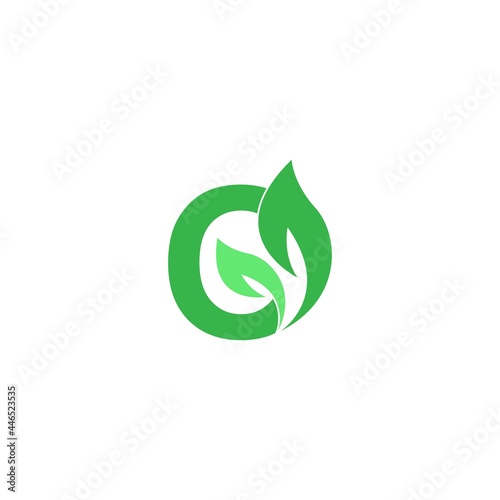 Letter O logo leaf icon design concept