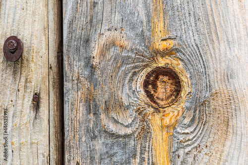 Knot in weathered wood on an old barn. photo