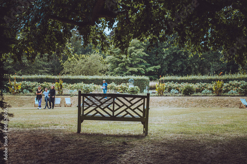 bench in the park