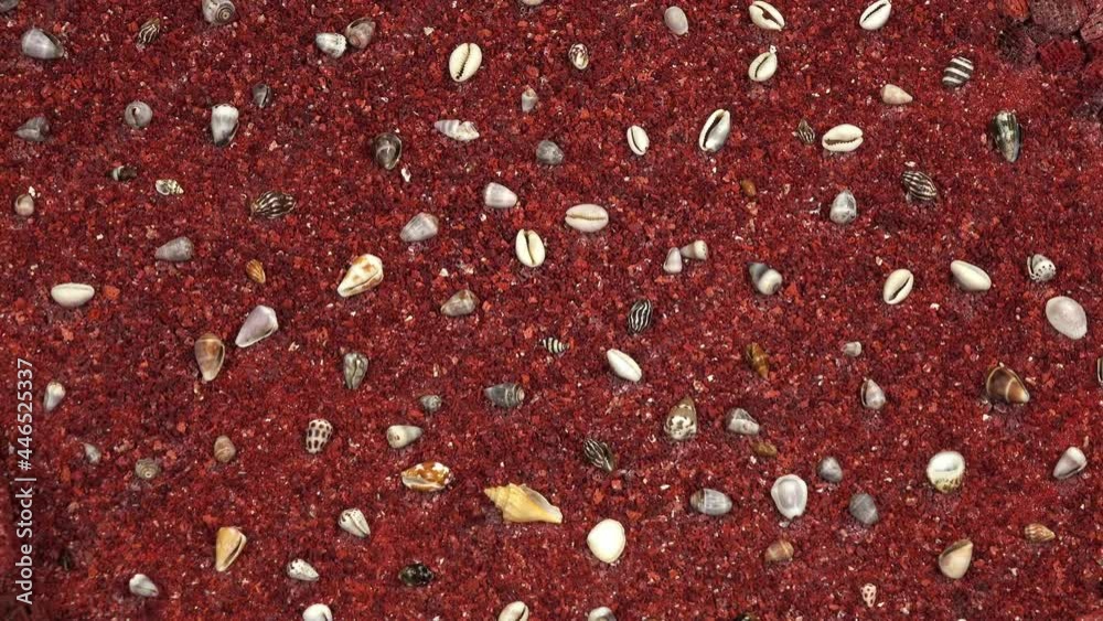 Sea shells on red sand. Summer beach background. Top view and rotation. Sea shells on red sand. Summer beach background. Top view and rotation.