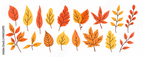 Set of different autumn leaves and twigs isolated on a white background. Vector hand-drawn illustration in cartoon flat style. Perfect for your project, cards, invitations, print, decorations.
