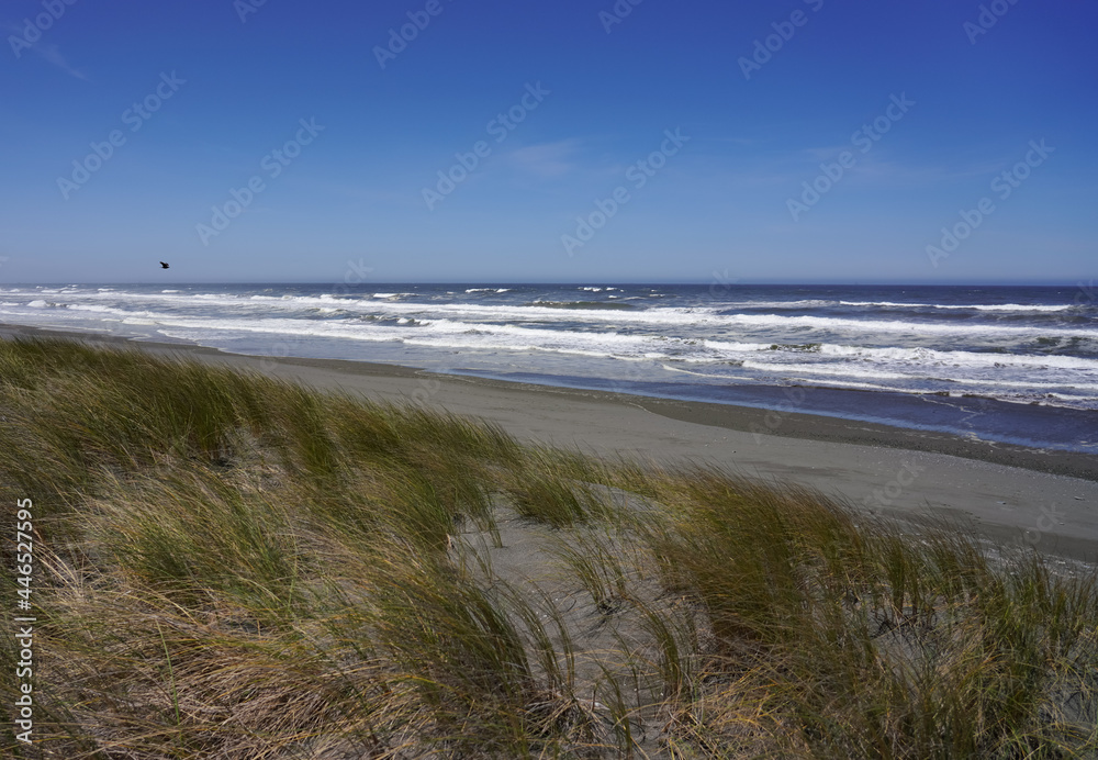 Peaceful Sand Dunes and Ocean