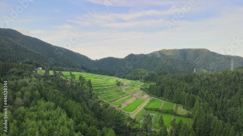 京都　樒原　棚田　日本棚田百選　空撮　4K　女郎花