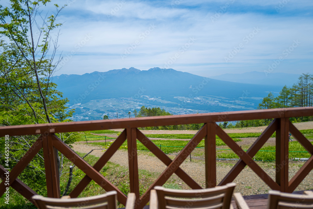 Fototapeta premium 初夏の入笠山の登山道の風景 A scenery of Nyukasa mountain trail in early summer 