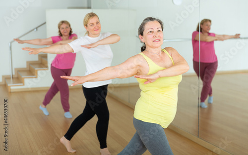 Fototapeta Naklejka Na Ścianę i Meble -  Elderly women doing stretching exercises warming up at dance class